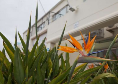 IMG_0816 (Copy)